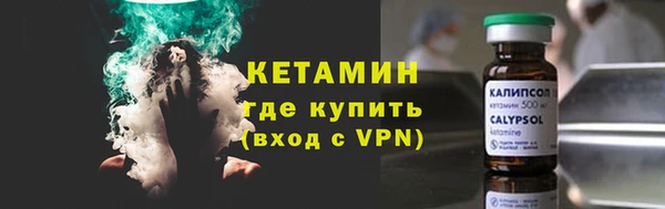 индика Богданович