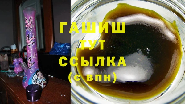 индика Богданович